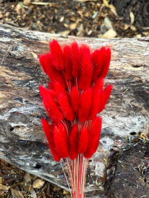 Bunny Tails/Pussy Tails -  Phoenix Red