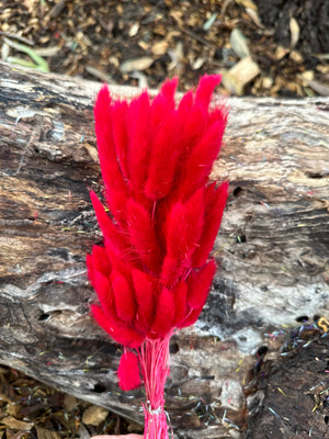 Bunny Tails/Pussy Tails -  Valentine Red