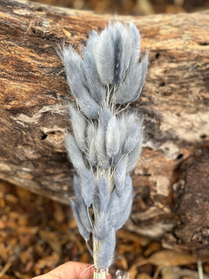 Bunny Tails/Pussy Tails - Dusty Blue/Grey