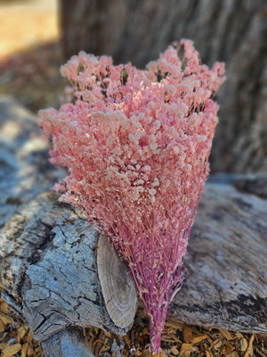 Baby's Breath - Gypsophila Preserved - Softest Lilac Pink