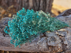 Baby's Breath - Gypsophila Preserved - Aqua Blue Turquoise Green Ombre