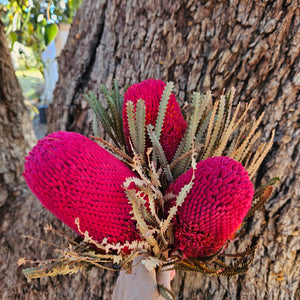 Banksia Hookeriana - Raspberry Red