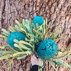 Banksia Hookeriana - Turquoise Blue