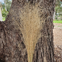 Grass - Love Grass - Natural blonde and wispy