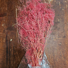 Bargain Corner - Baby’s Breath/Japanese - Cherry Pink