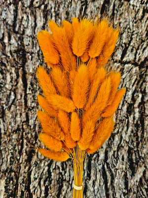 Bunny Tails/Pussy Tails - Burnt Orange