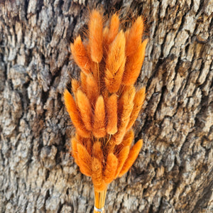 Bunny Tails/Pussy Tails - Dusty Burnt Orange