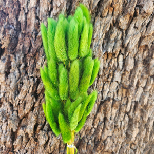 Bunny Tails/Pussy Tails -  Rich Kelly Green