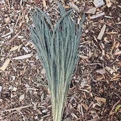 Grass - Love Grass - Natural Dark Sage Green