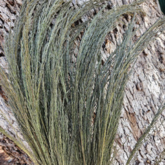 Grass - Love Grass - Natural Dark Sage Green