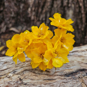 Handmade Flowers - Anemone - Daisy Yellow