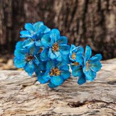 Handmade Flowers - Anemone - Ocean Blue