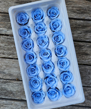 Roses Preserved Mini 21 - Soft Blue