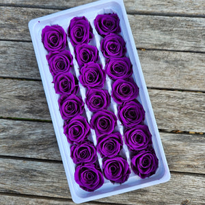 Roses Preserved Mini 21 - Violet Purple