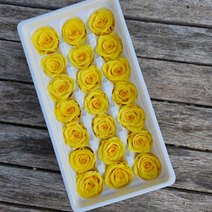 Roses Preserved Mini 21 - Canary Yellow