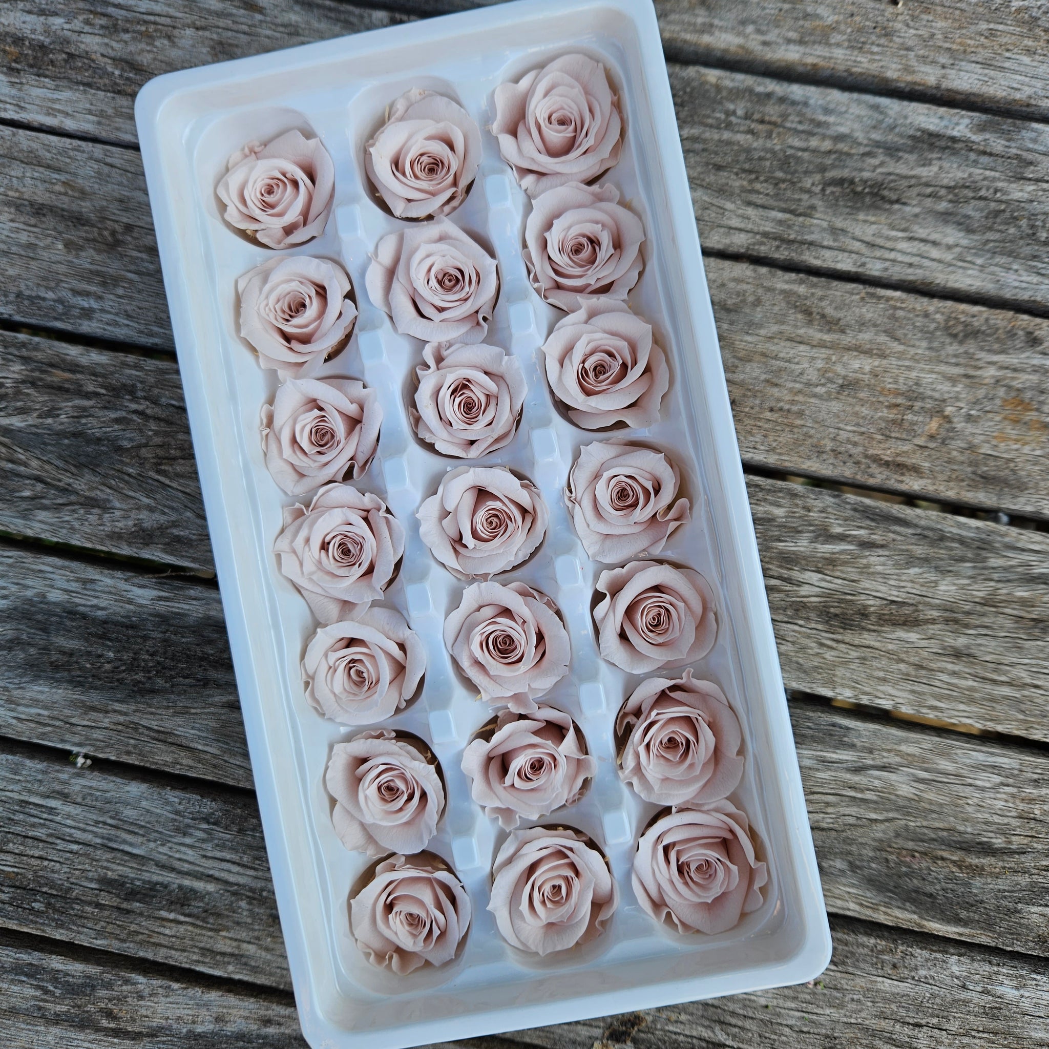 Roses Preserved Mini 21 - Pale Nudie Pink