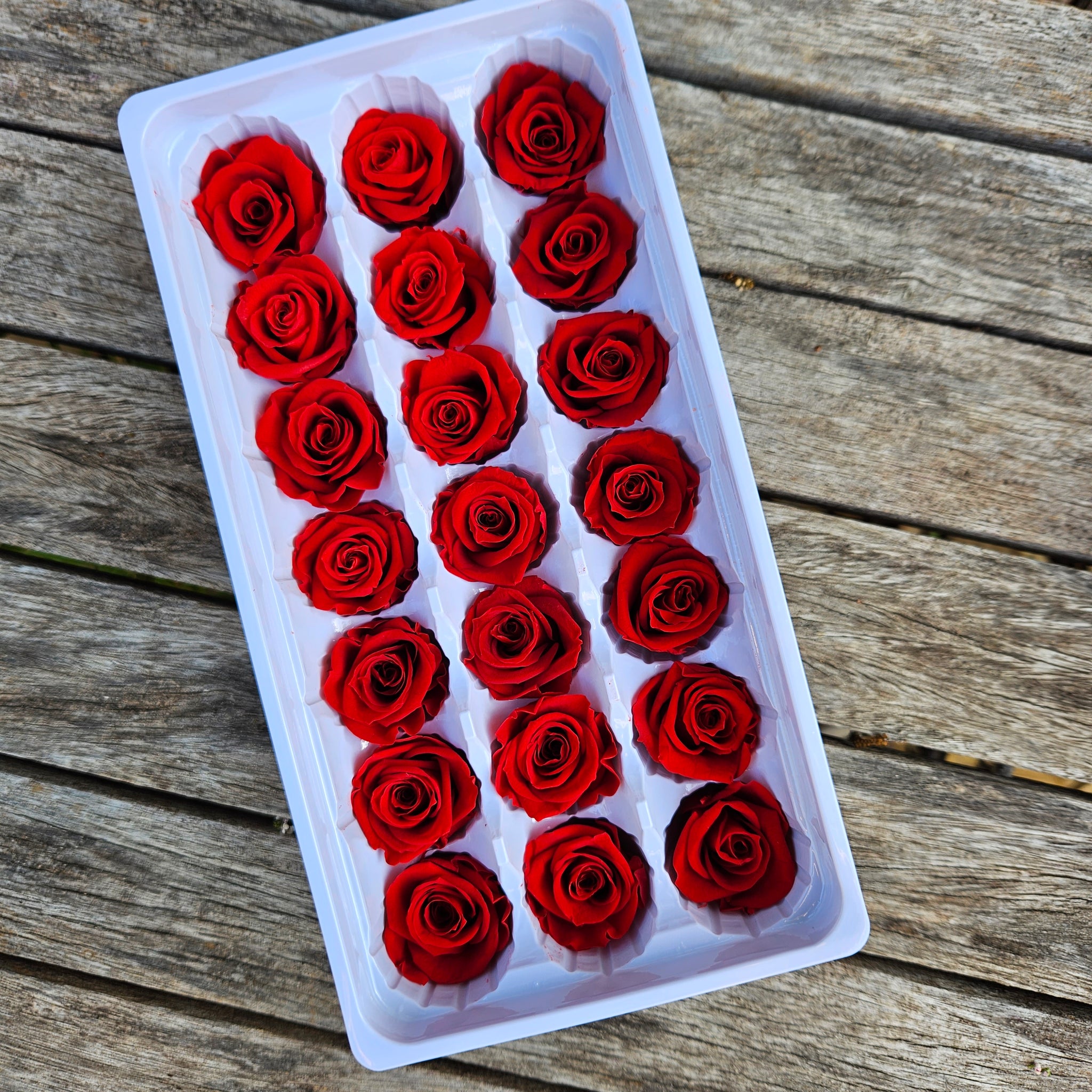 Roses Preserved Mini 21 - Ruby Red