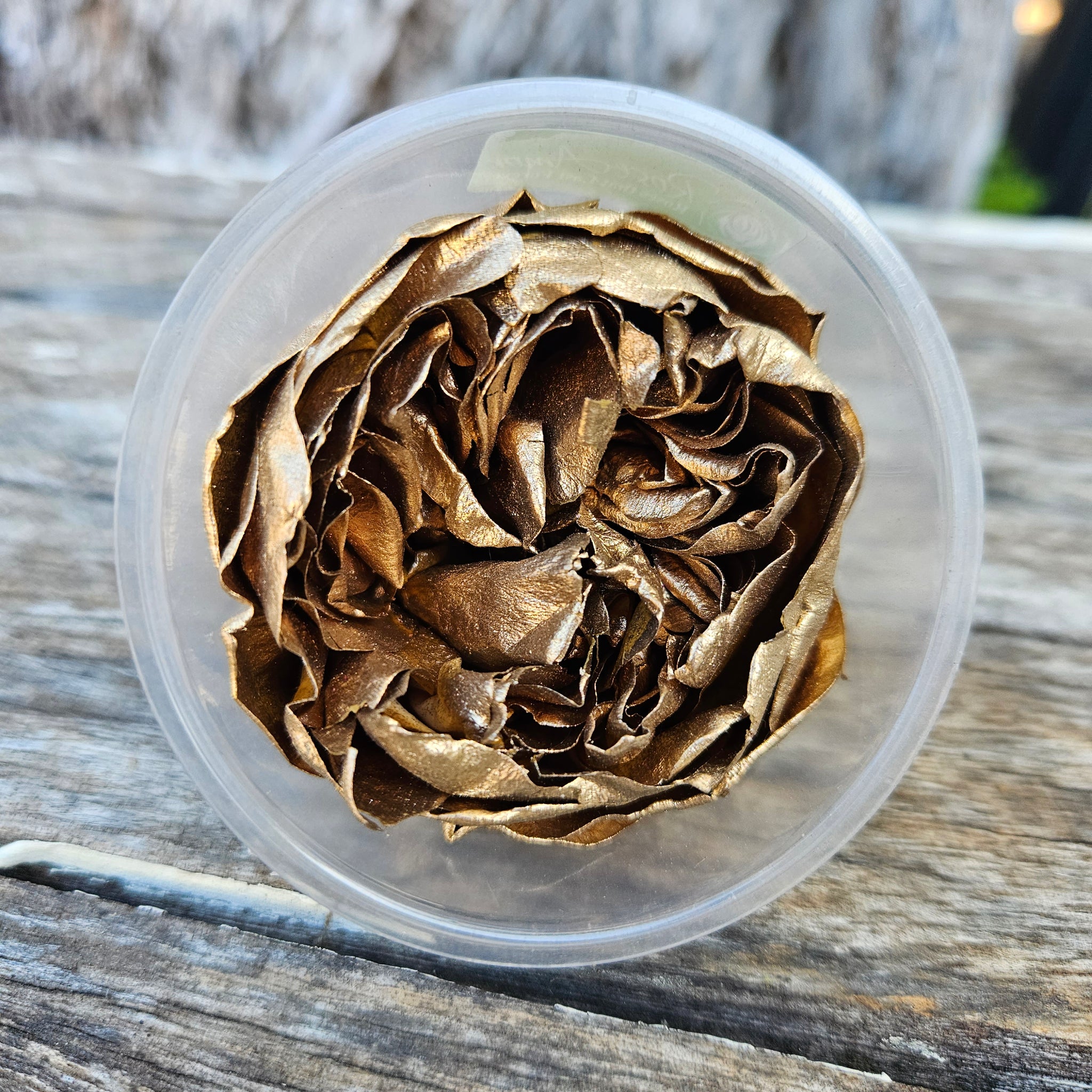 Roses Preserved - Gold Garden Rose - Single