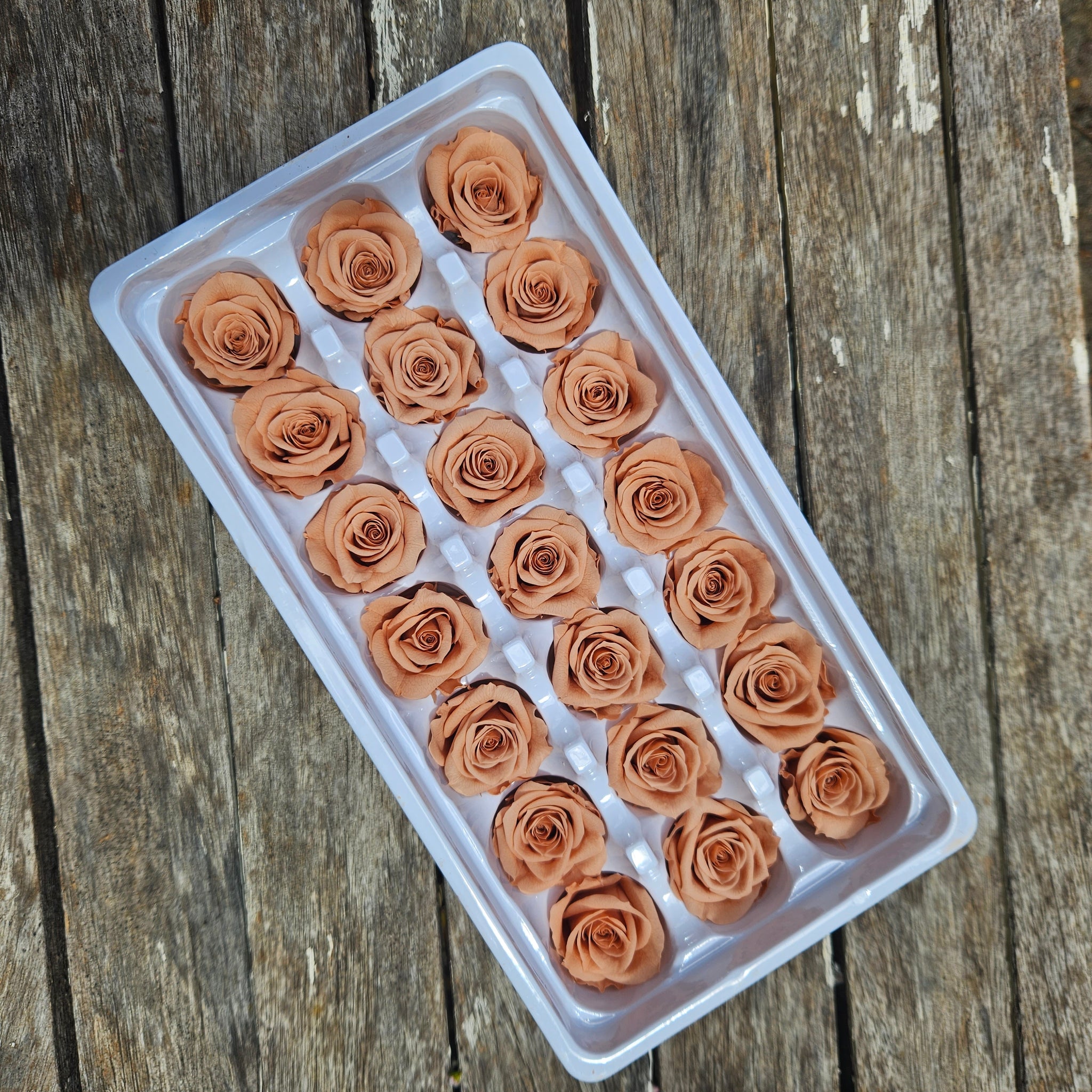 Roses Preserved Mini 21 - Soft Dusty Orange