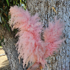 Pampas Coloured - (Single short Stem) Fluffy Soft Pink