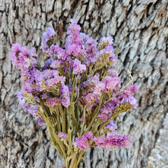 Sea Lavender/ Statice Sinuata - Natural Lilac Purple/Pink Mixed Tones