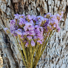 Sea Lavender/ Statice Sinuata - Natural Lilac Purple/Pink Mixed Tones