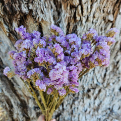 Sea Lavender/ Statice Sinuata - Natural Lilac Purple/Pink Mixed Tones