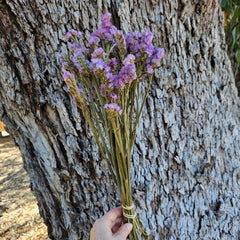 Sea Lavender/ Statice Sinuata - Natural Lilac Purple/Pink Mixed Tones