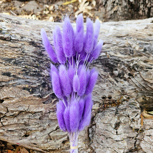 Bunny Tails/Pussy Tails - Lavender Purple