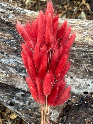 Bunny Tails/Pussy Tails - Burnt Rose red