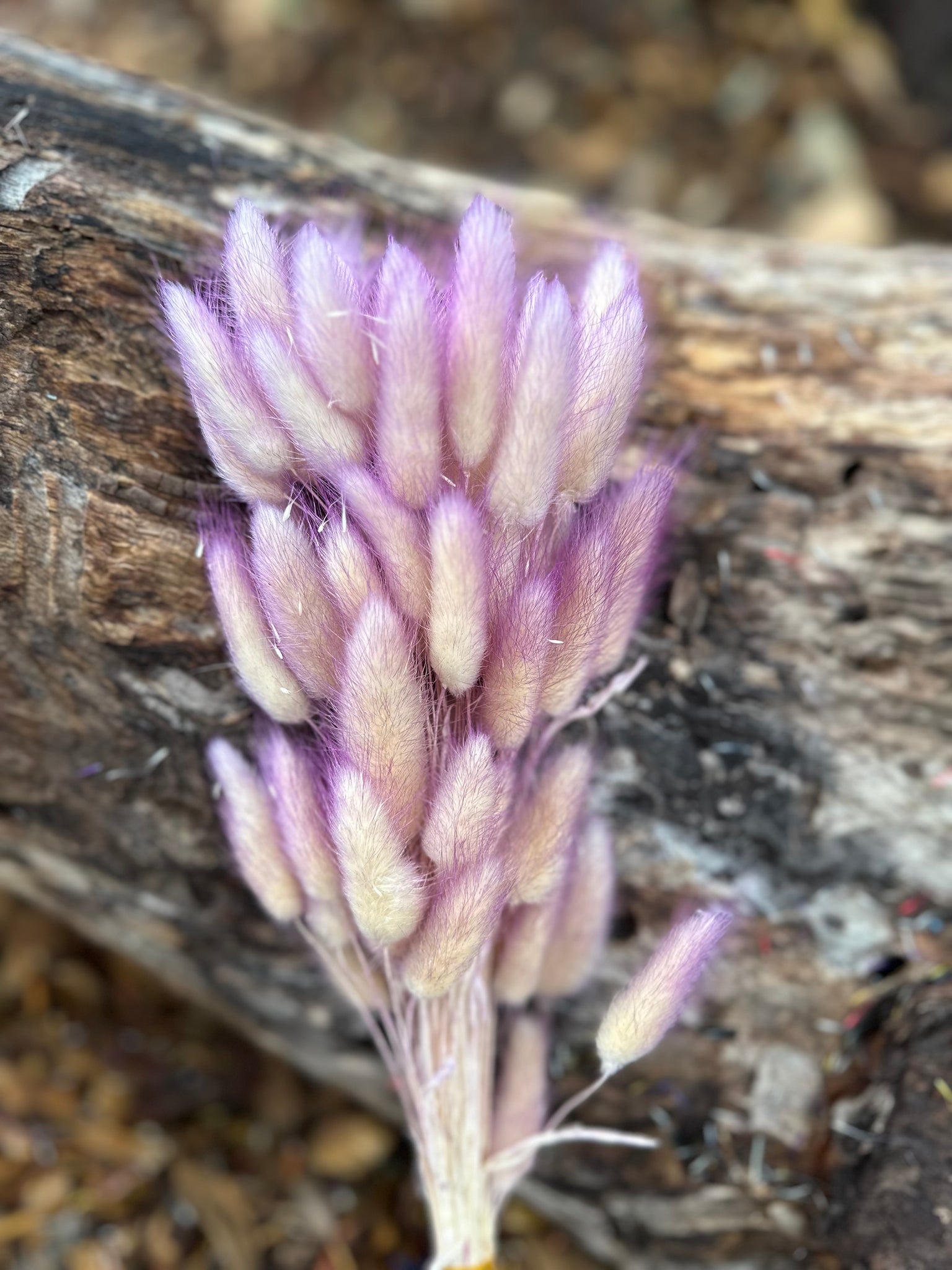 Bunny Tails/Pussy Tails -  Violet Purple Ombré