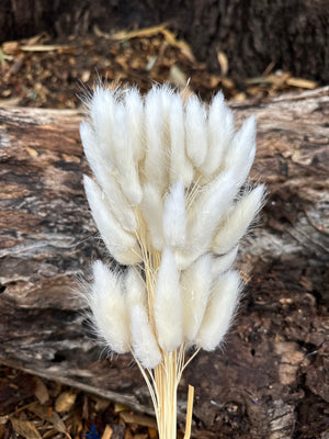 Bunny Tails/Pussy Tails - Nearly White