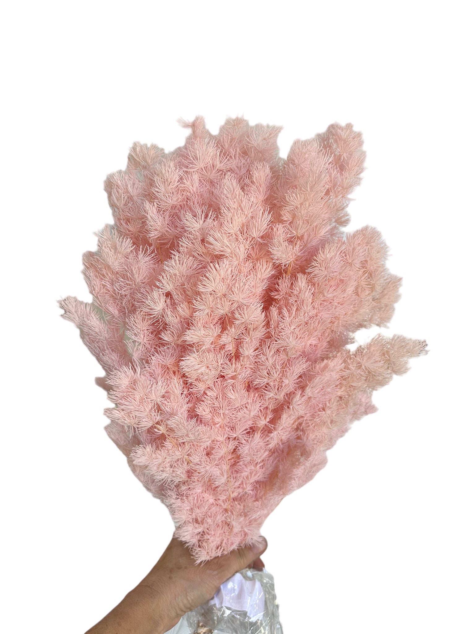 Ming Fern - Soft Pink