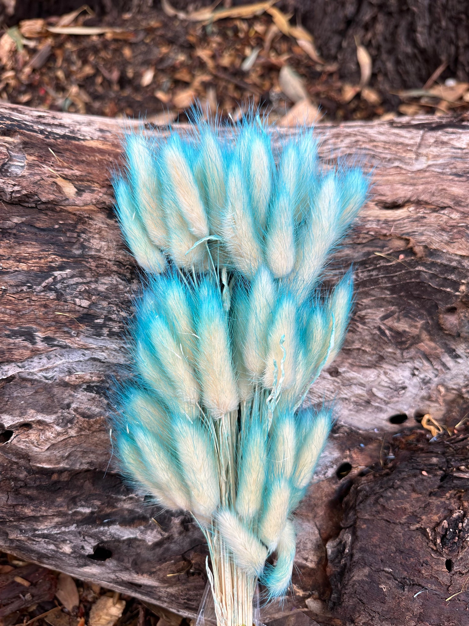 Bunny Tails/Pussy Tails -  Aqua Blue Ombré