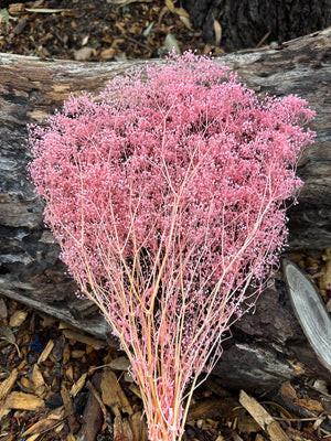 Baby’s Breath/Japanese - Soft Cherry Pink