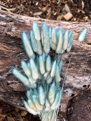 Bunny Tails/Pussy Tails - Teal Blue Ombré