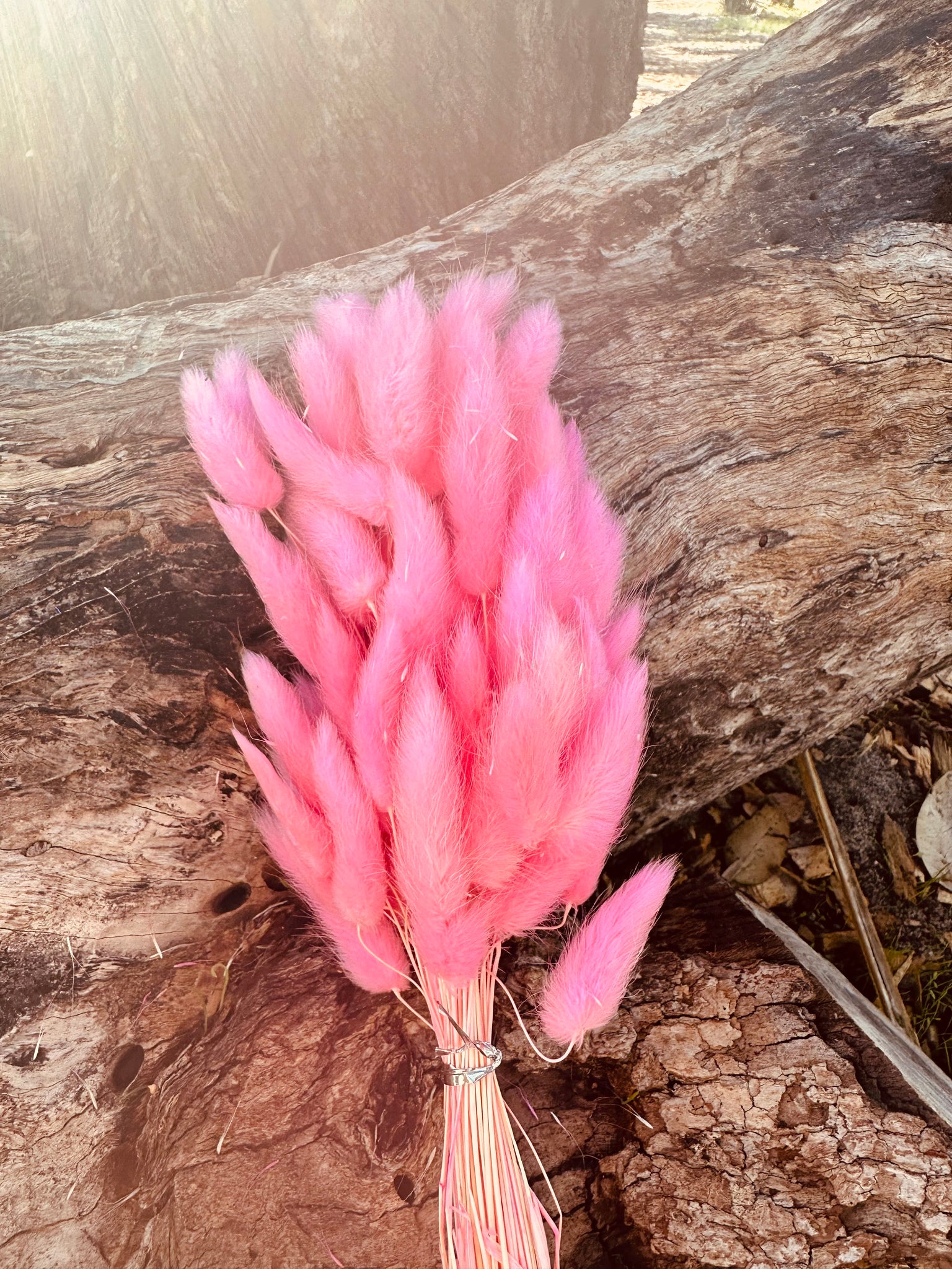 Bunny Tails/Pussy Tails - Neon Pink