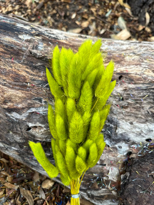 Bunny Tails/Pussy Tails - Olive Mustard Green