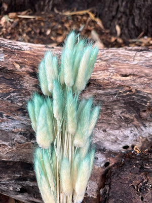 Bunny Tails/Pussy Tails -  Turquoise Green Ombré