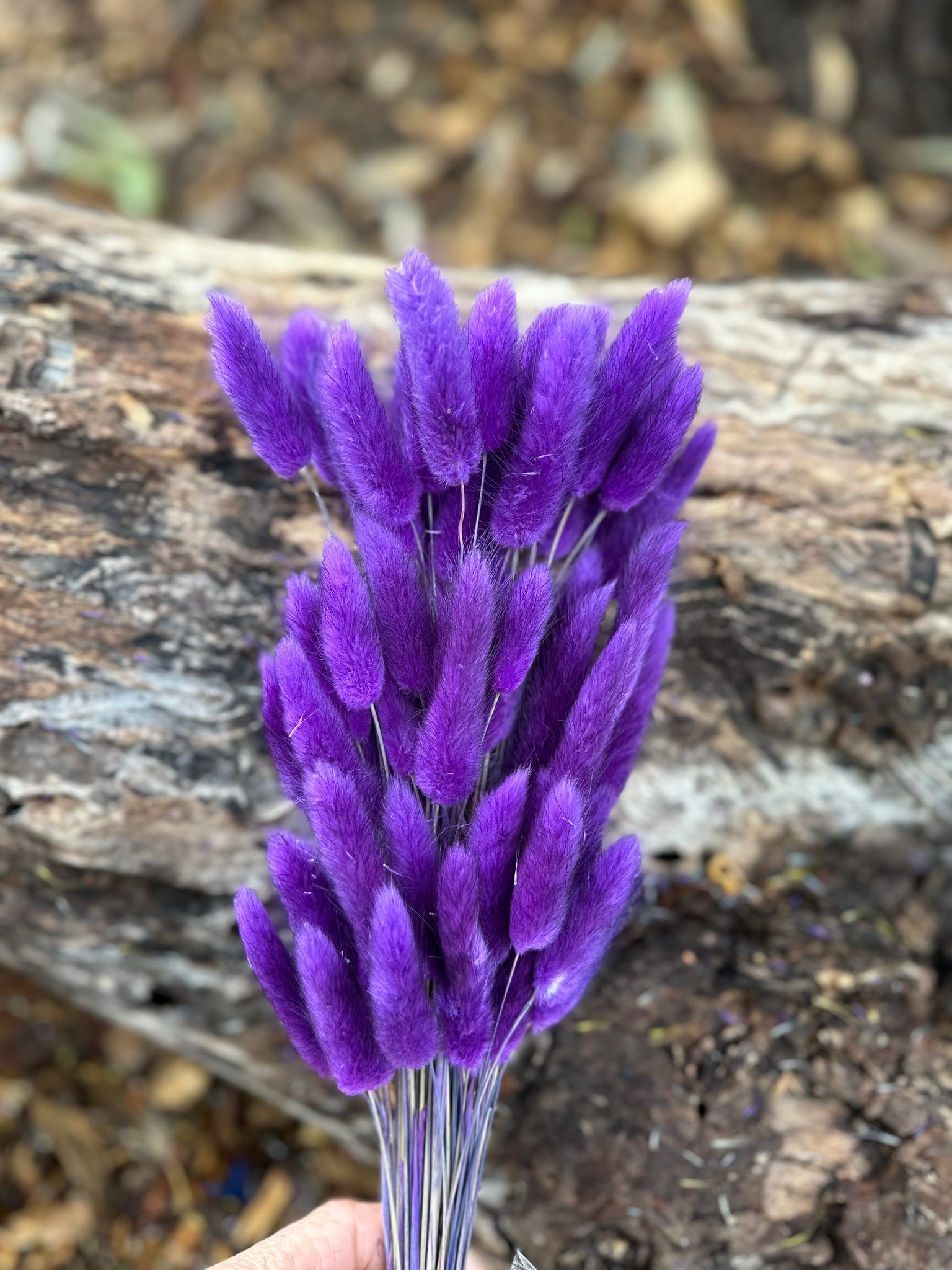 Bunny Tails/Pussy Tails - Indigo Purple