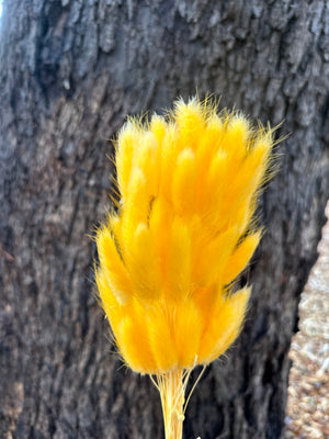 Bunny Tails/Pussy Tails - Daisy Yellow