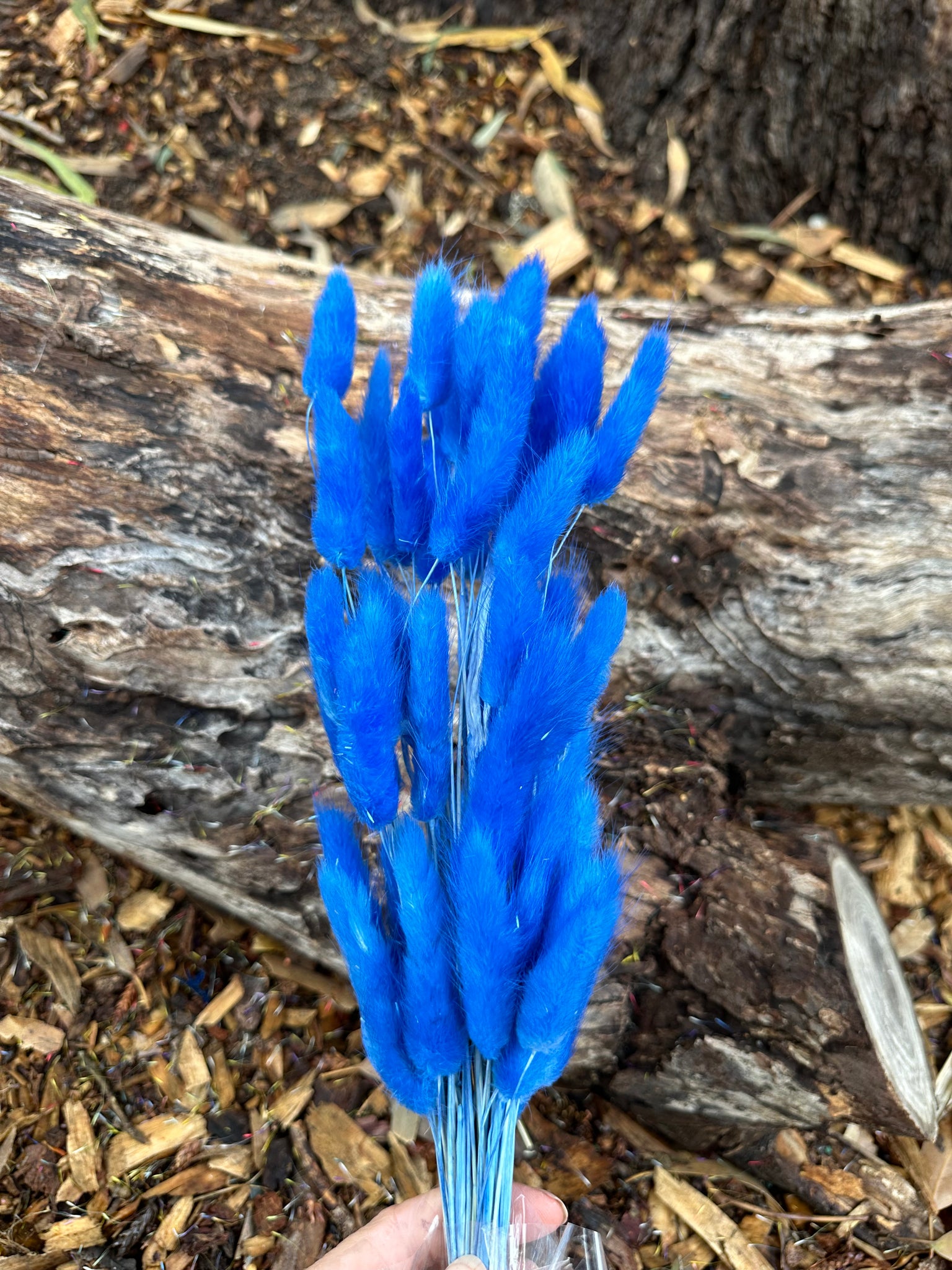 Bunny Tails/Pussy Tails -  Royal Blue