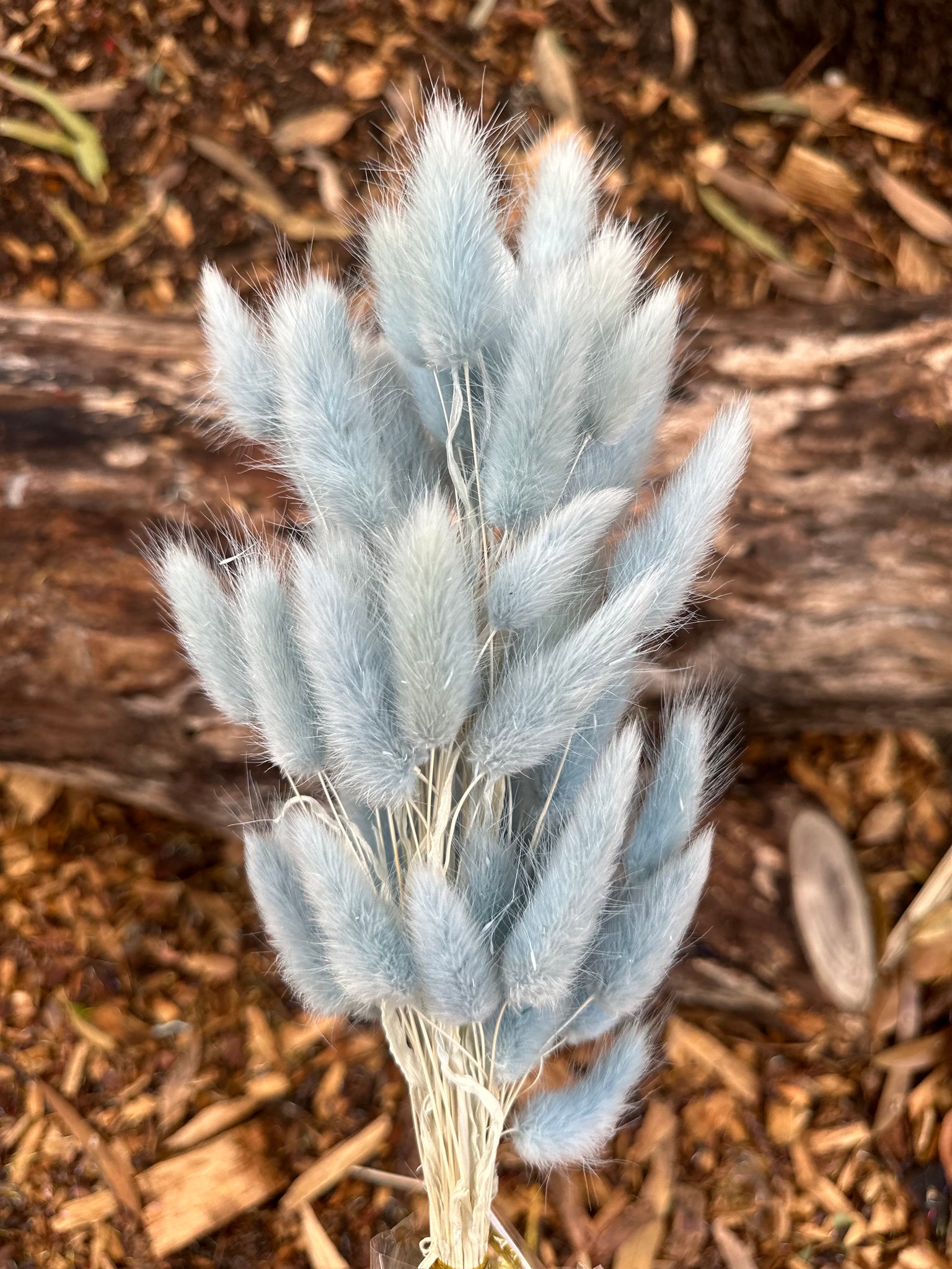 Bunny Tails/Pussy Tails - Soft Dusty Blue