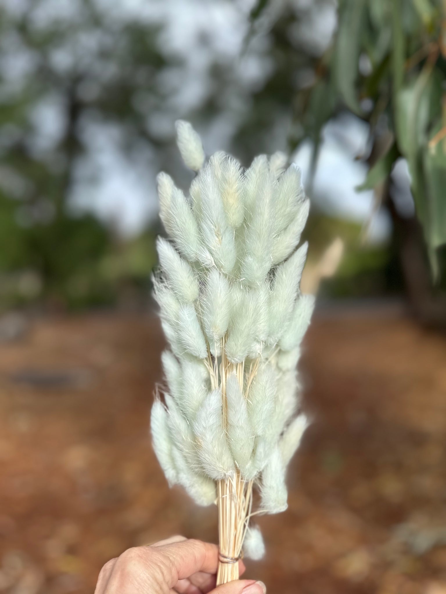 Bunny Tails/Pussy Tails - Pastel Mint Green