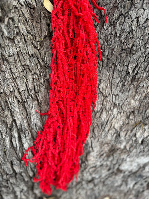 Amaranthus - Scarlet Red