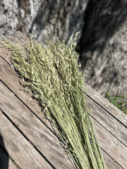 Wild Oats - Natural - DRIED