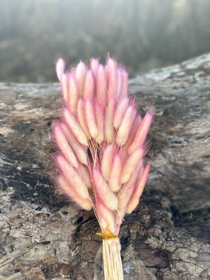 Bunny Tails/Pussy Tails - Taffy Pink Ombré