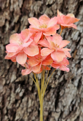 Handmade Flowers - Anemone - Pastel Peachy Pink Ombre