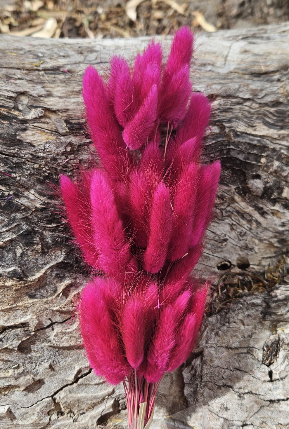 Bunny Tails/Pussy Tails - Fuchsia Pink