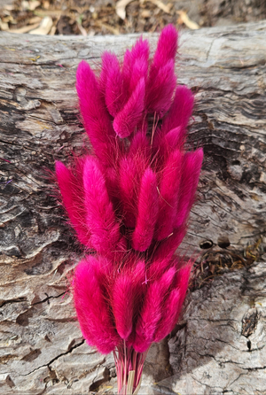 Bunny Tails/Pussy Tails - Fuchsia Pink